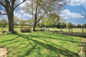 Garden- click for photo gallery